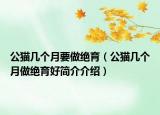 公猫几个月要做绝育（公猫几个月做绝育好简介介绍）