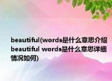 beautiful(words是什么意思介绍 beautiful words是什么意思详细情况如何)