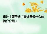 审计主要干啥（审计是做什么的简介介绍）