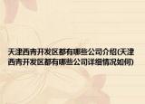 天津西青开发区都有哪些公司介绍(天津西青开发区都有哪些公司详细情况如何)