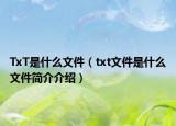 TxT是什么文件（txt文件是什么文件简介介绍）