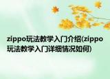 zippo玩法教学入门介绍(zippo玩法教学入门详细情况如何)