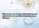 魔兽世界圣骑士有什么好看的且容易获得的幻化吗介绍(魔兽世界圣骑士有什么好看的且容易获得的幻化吗详细情况如何)