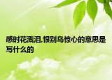 感时花溅泪,恨别鸟惊心的意思是写什么的