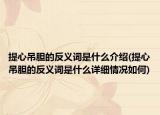 提心吊胆的反义词是什么介绍(提心吊胆的反义词是什么详细情况如何)