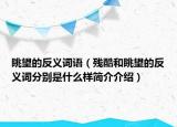 眺望的反义词语（残酷和眺望的反义词分别是什么样简介介绍）