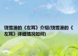 饶雪漫的《左耳》介绍(饶雪漫的《左耳》详细情况如何)
