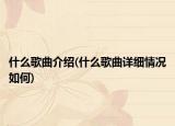 什么歌曲介绍(什么歌曲详细情况如何)