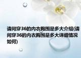 请问穿36的内衣胸围是多大介绍(请问穿36的内衣胸围是多大详细情况如何)