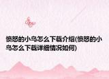 愤怒的小鸟怎么下载介绍(愤怒的小鸟怎么下载详细情况如何)