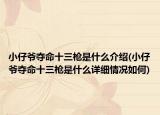 小仔爷夺命十三枪是什么介绍(小仔爷夺命十三枪是什么详细情况如何)