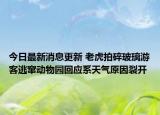 今日最新消息更新 老虎拍碎玻璃游客逃窜动物园回应系天气原因裂开