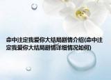 命中注定我爱你大结局剧情介绍(命中注定我爱你大结局剧情详细情况如何)