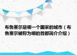 布鲁塞尔是哪一个国家的城市（布鲁塞尔被称为哪的首都简介介绍）