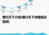 镖行天下介绍(镖行天下详细情况如何)