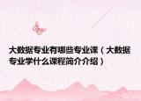 大数据专业有哪些专业课（大数据专业学什么课程简介介绍）