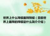 世界上什么辣椒最辣辣椒（目前世界上最辣的辣椒是什么简介介绍）