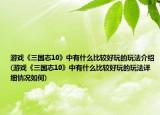 游戏《三国志10》中有什么比较好玩的玩法介绍(游戏《三国志10》中有什么比较好玩的玩法详细情况如何)