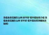 鲁信含章花园怎么样(好不好 值不值得买介绍 鲁信含章花园怎么样 好不好 值不值得买详细情况如何)