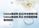 Cnblue就这样.忘记(中文歌词介绍 Cnblue就这样.忘记 中文歌词详细情况如何)