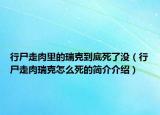 行尸走肉里的瑞克到底死了没（行尸走肉瑞克怎么死的简介介绍）