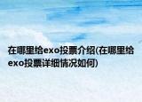 在哪里给exo投票介绍(在哪里给exo投票详细情况如何)
