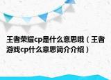 王者荣耀cp是什么意思哦（王者游戏cp什么意思简介介绍）