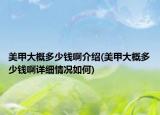 美甲大概多少钱啊介绍(美甲大概多少钱啊详细情况如何)