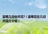 蓝莓几月份开花?（蓝莓花在几月开简介介绍）