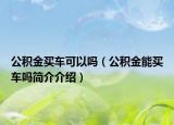 公积金买车可以吗（公积金能买车吗简介介绍）