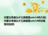 内蒙古电视台少儿频道是cctv14吗介绍(内蒙古电视台少儿频道是cctv14吗详细情况如何)