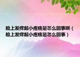 脸上发痒起小疙瘩是怎么回事啊（脸上发痒起小疙瘩是怎么回事）