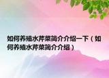 如何养殖水芹菜简介介绍一下（如何养殖水芹菜简介介绍）