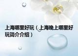 上海哪里好玩（上海晚上哪里好玩简介介绍）