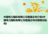 中国电力国际有限公司是国企吗介绍(中国电力国际有限公司是国企吗详细情况如何)