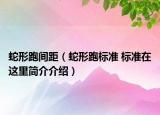 蛇形跑间距（蛇形跑标准 标准在这里简介介绍）