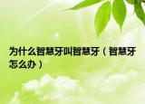 为什么智慧牙叫智慧牙（智慧牙怎么办）
