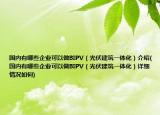 国内有哪些企业可以做BIPV（光伏建筑一体化）介绍(国内有哪些企业可以做BIPV（光伏建筑一体化）详细情况如何)