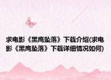 求电影《黑鹰坠落》下载介绍(求电影《黑鹰坠落》下载详细情况如何)