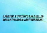 上海应用技术学院到底怎么样介绍(上海应用技术学院到底怎么样详细情况如何)