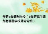 考研b类调剂学校（b类研究生调剂有哪些学校简介介绍）