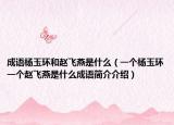 成语杨玉环和赵飞燕是什么（一个杨玉环一个赵飞燕是什么成语简介介绍）