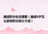 魔域积分处在哪里（魔域VIP怎么获得积分简介介绍）