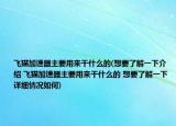 飞猫加速器主要用来干什么的(想要了解一下介绍 飞猫加速器主要用来干什么的 想要了解一下详细情况如何)