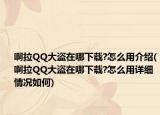 啊拉QQ大盗在哪下载?怎么用介绍(啊拉QQ大盗在哪下载?怎么用详细情况如何)
