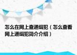 怎么在网上查通缉犯（怎么查看网上通缉犯简介介绍）