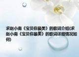 求赵小南《宝贝你最美》的歌词介绍(求赵小南《宝贝你最美》的歌词详细情况如何)