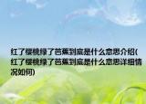 红了樱桃绿了芭蕉到底是什么意思介绍(红了樱桃绿了芭蕉到底是什么意思详细情况如何)