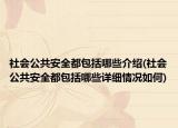 社会公共安全都包括哪些介绍(社会公共安全都包括哪些详细情况如何)