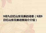 9月九日忆山东兄弟的诗意（9月9日忆山东兄弟诗意简介介绍）